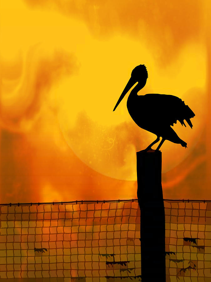 Sunset Painting - Pelican Sunset by Elaine Plesser