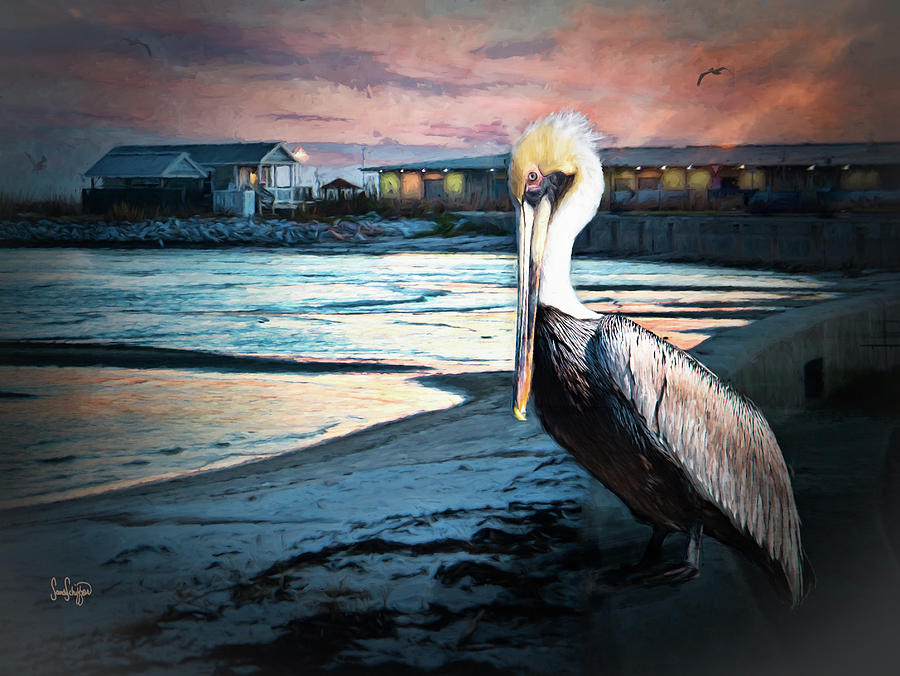 Pelican Sunset Photograph by Sandra Schiffner