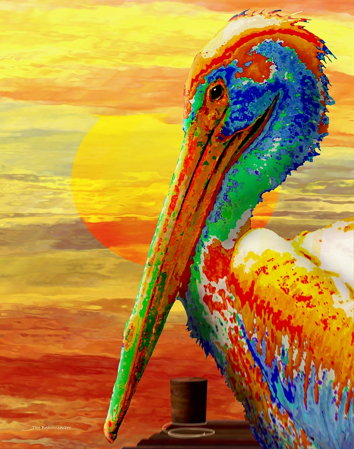 Pelican Sunset by Wally Boggus Pelican Sunset by Wally Boggus