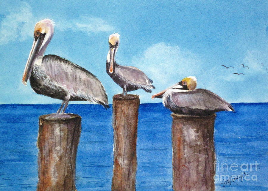 Pelican Trio Painting by Suzanne Krueger