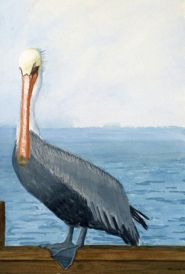 Pelican Painting by William Nelson | Fine Art America