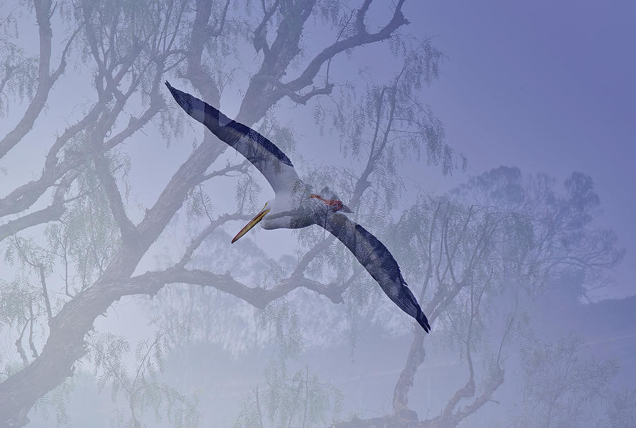 Pelican with Faded Trees 1 Digital Art by Linda Brody