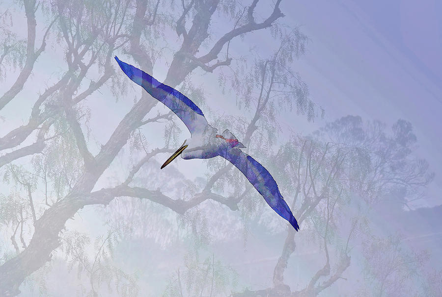 Pelican with Faded Trees 2 Digital Art by Linda Brody