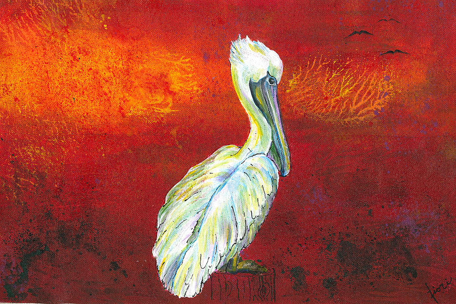 Pelican Painting - Pelicano Blanco by Fiori Ferraris