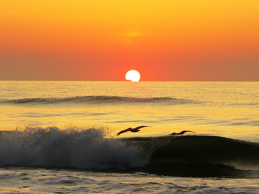 Pelicans Across the Sunrise Photograph by Ellen Meakin