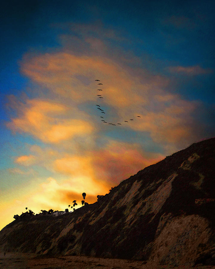 Pelicans at Arroyo Burro Photograph by Timothy Bulone