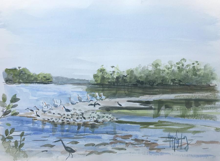Pelicans at Ding Darling  Painting by Maggii Sarfaty