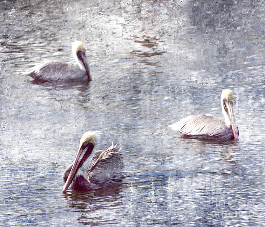 Pelicans at Rest Photograph by Lilliana Mendez