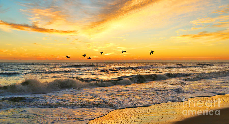 Pelicans at Sunrise  4651b 2  Photograph by Jack Schultz