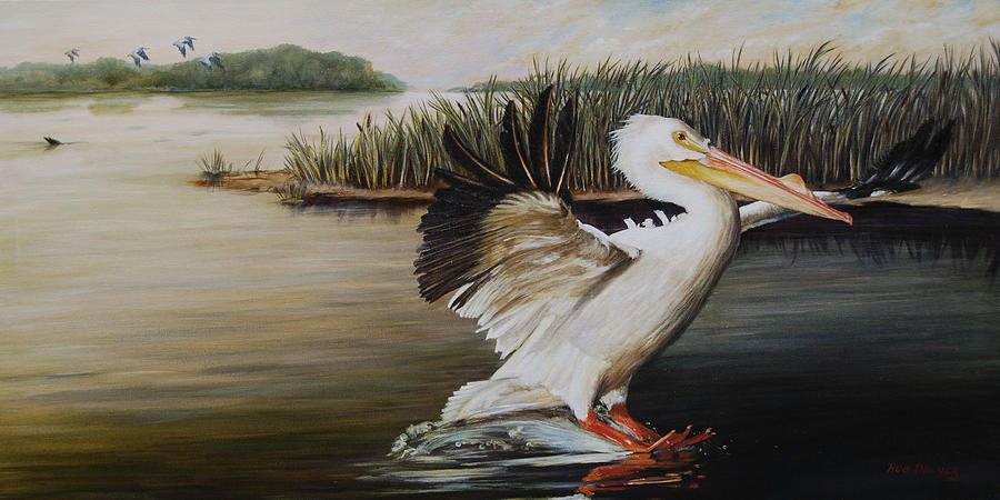 Pelican Painting - Pelicans at the Confluence by Dreyer Wildlife Print Collections 