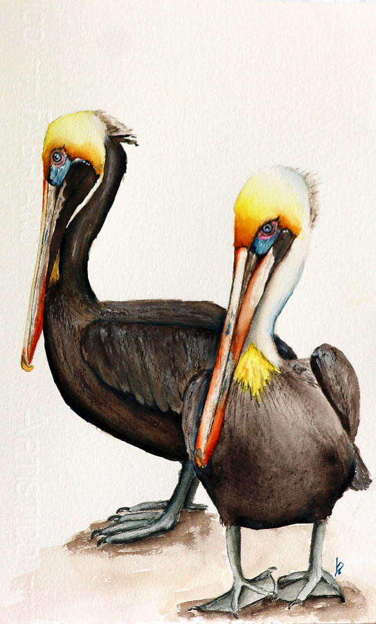 Pelicans Painting By Betty Moore Fine Art America