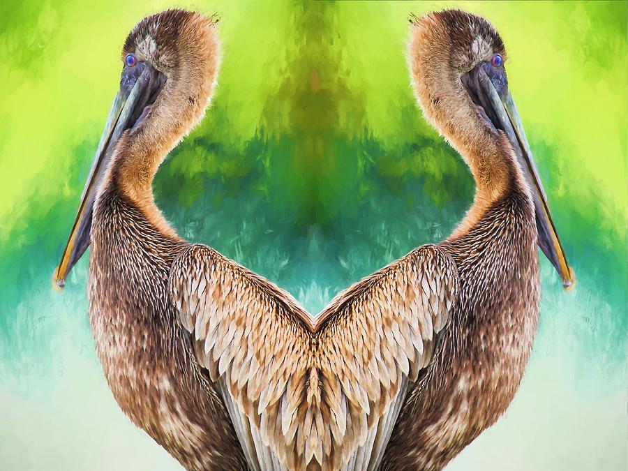 Pelicans Heart Photograph by Alice Gipson