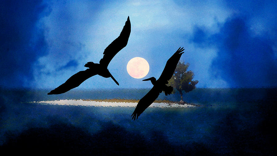 Pelicans in the Moon Light Painting by David Lee Thompson