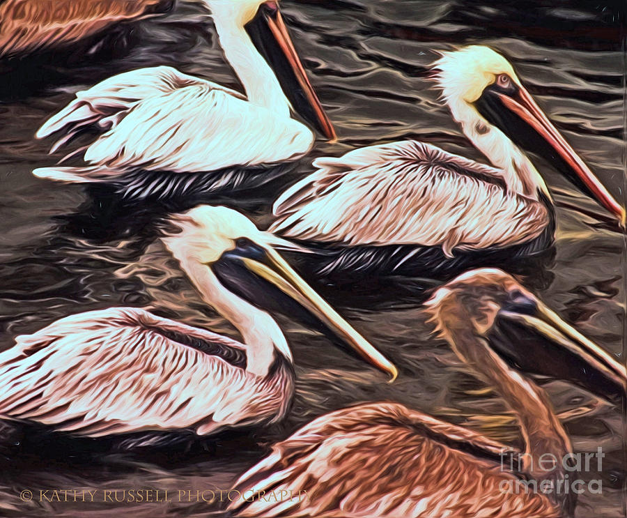 Pelicans Photograph by Kathy Russell