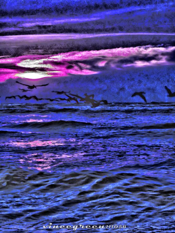 Pelicans on the Horizon Digital Art by Vincent Green