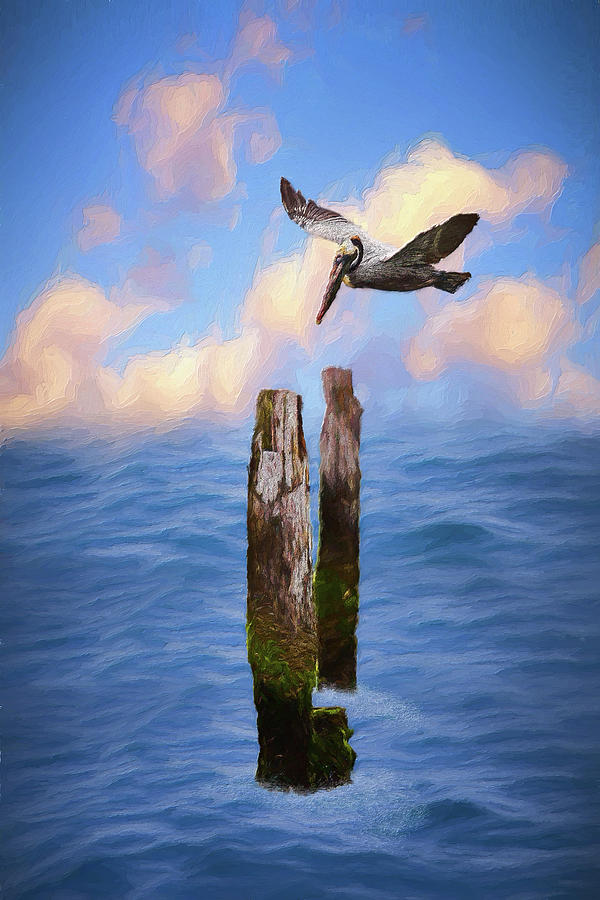 Pelicans on the Outer Banks of North Carolina AP Digital Art by Dan Carmichael