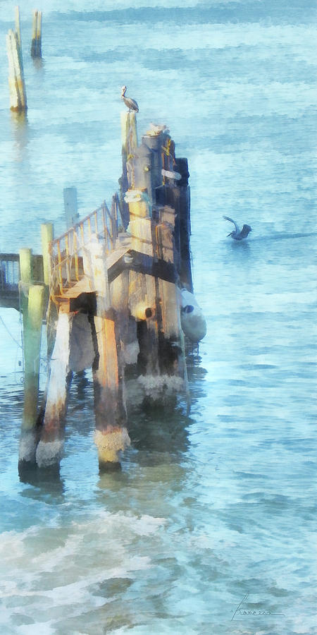 Pelicans on the Waterfront Digital Art by Frances Miller