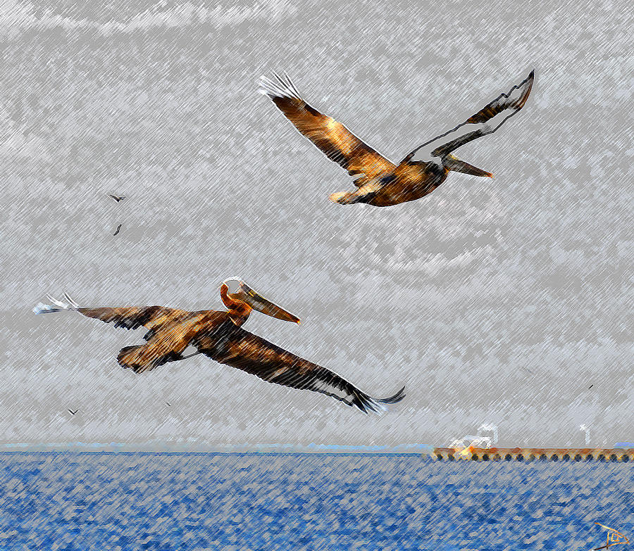 Bird Painting - Pelicans over Ballast Point by David Lee Thompson