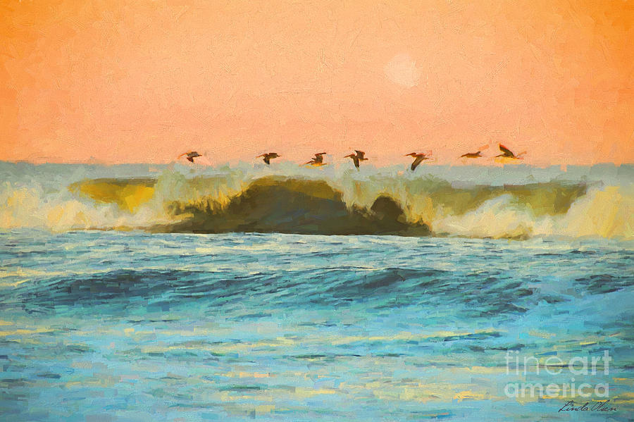 Pelicans painted Painting by Linda Olsen