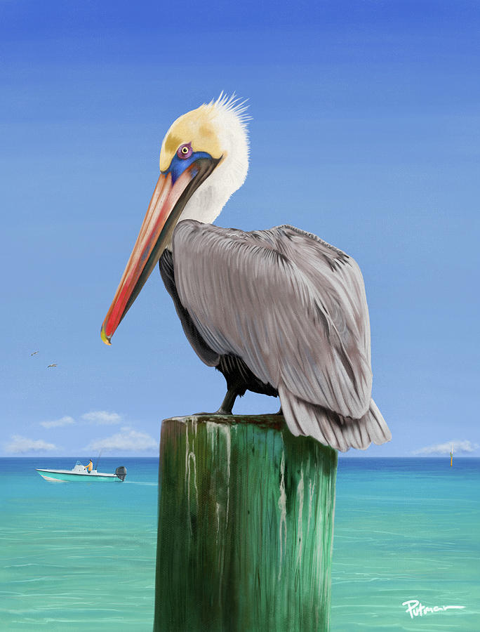 Pelicans Post Digital Art by Kevin Putman