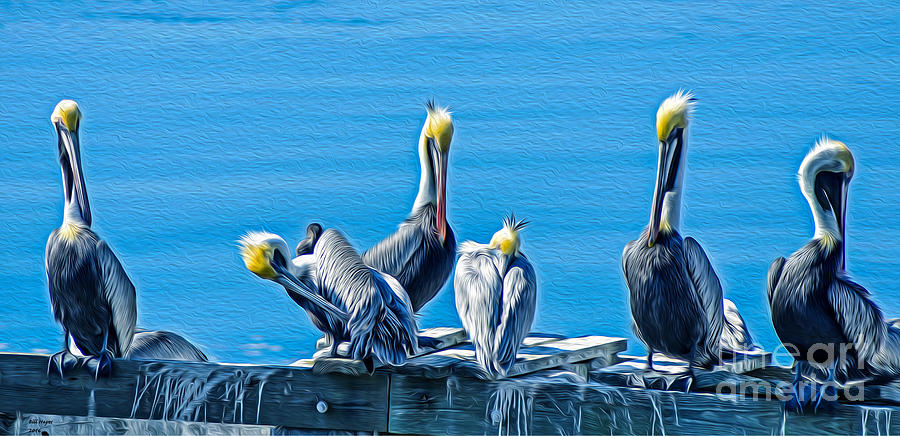 Pelicans Siesta - Oil Painting by DB Hayes