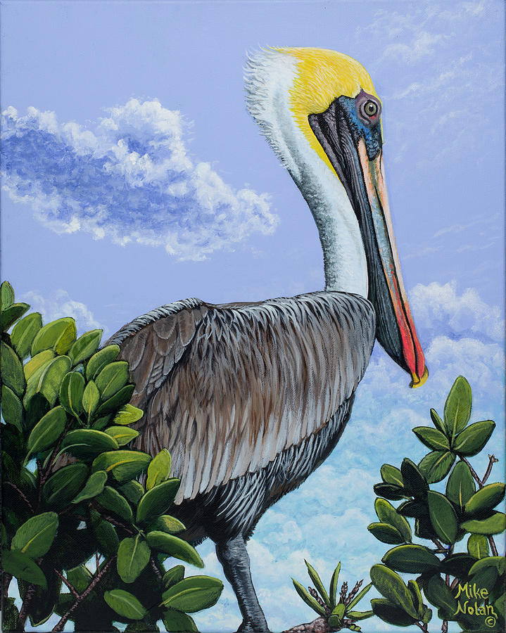 Pelicans' View Painting by Mike Nolan - Fine Art America