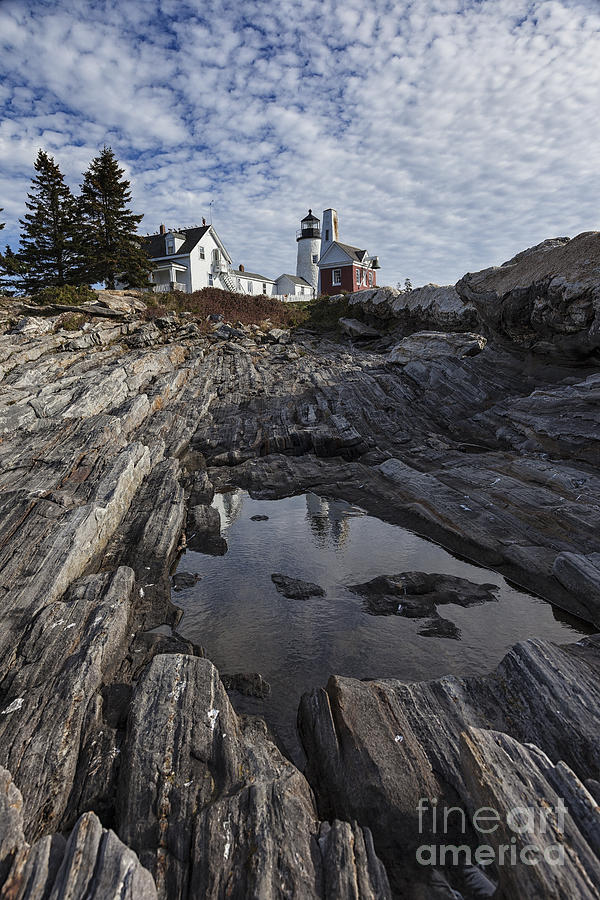 Pemaquid Lighthouse Photograph by Timothy Johnson