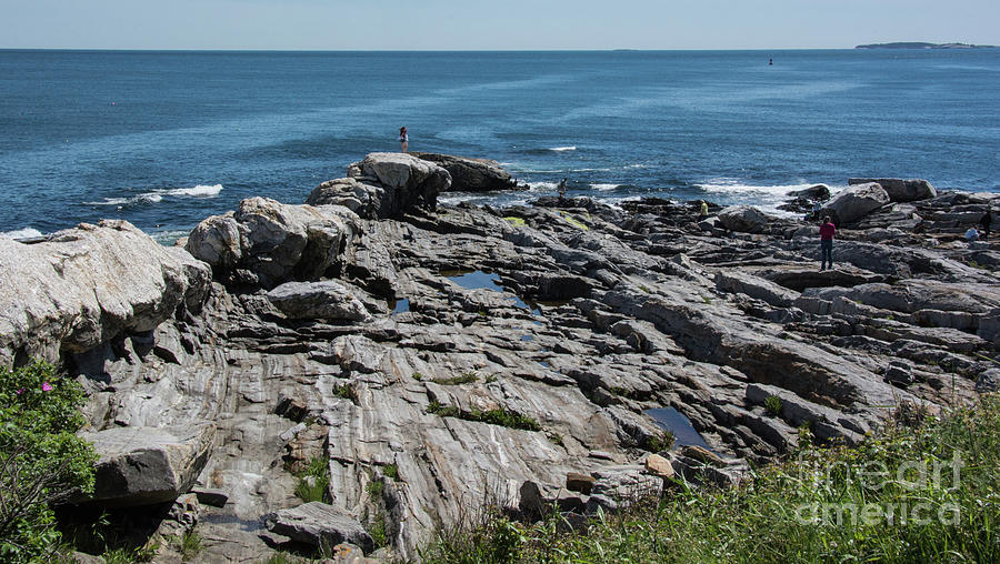 Pemaquid Point Photograph by John Greco