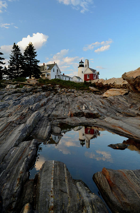 Pemaquid Point Light Photograph by Colleen Phaedra