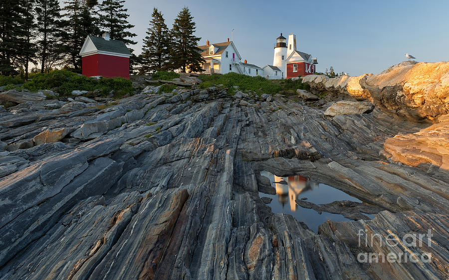 Joshua Clark Photograph - Pemaquid Point Light by Joshua Clark Joshua Clark Photograph - Pemaquid Point Light by Joshua Clark