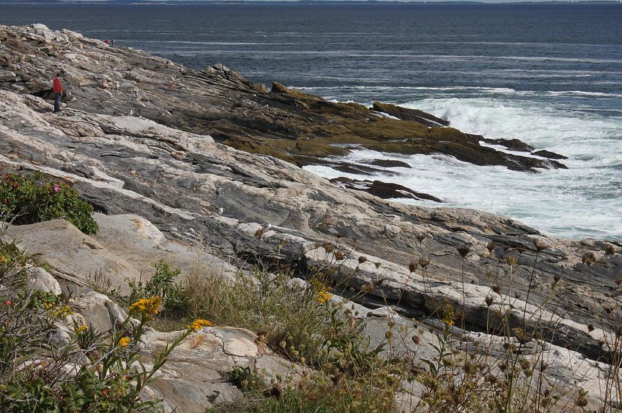 Pemaquid Point, Maine Photograph by Carolyn Jacob