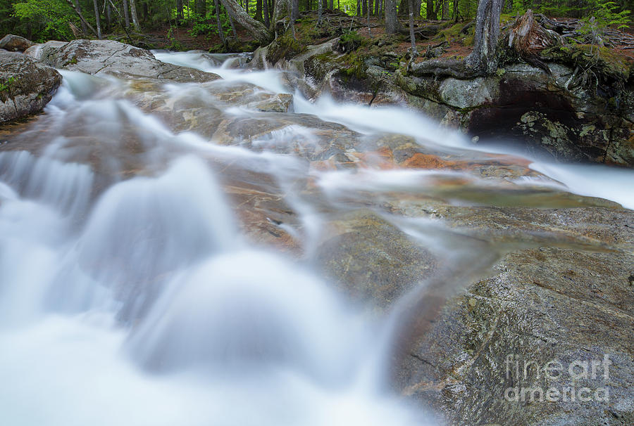 Nature Photograph - Pemigewasset River - Franconia Notch State Park, New Hampshire #3 by Erin Paul Donovan