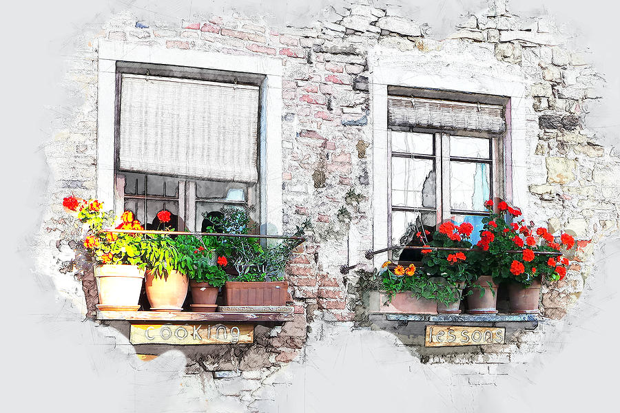 Pen And Ink Sketch Of Flowers On Window Sills Painting By Elaine