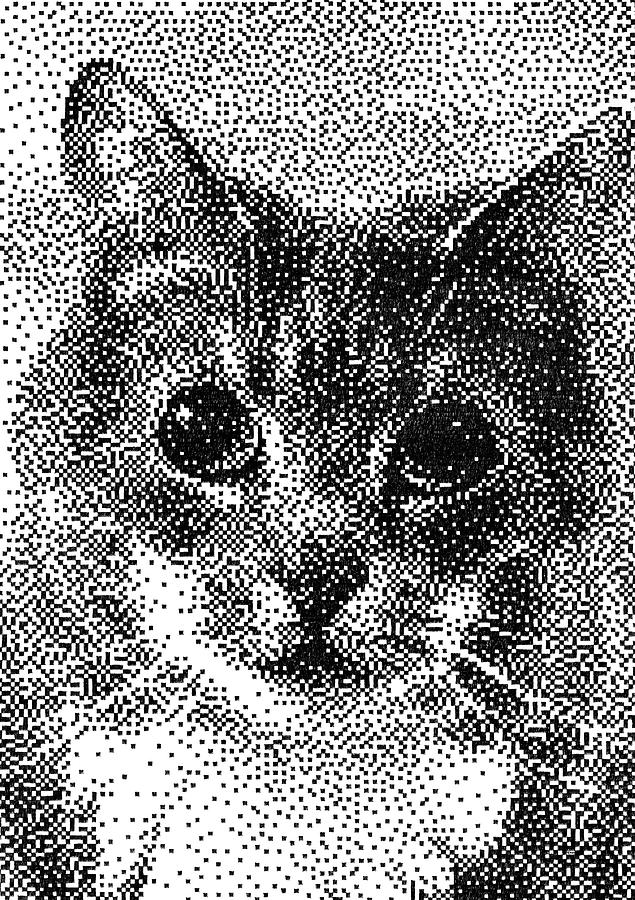 Pen Pixel Cat Drawing by Hakon Soreide