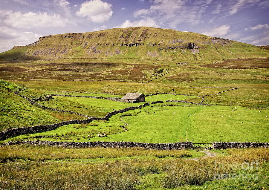 Pen-Y-Ghent Yorkshire Dales Photograph by Martyn Arnold