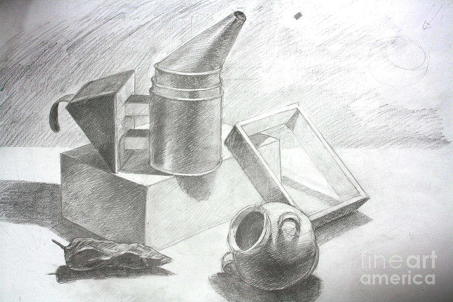Beginners Guide to Still Life Composition Drawing  Ran Art Blog