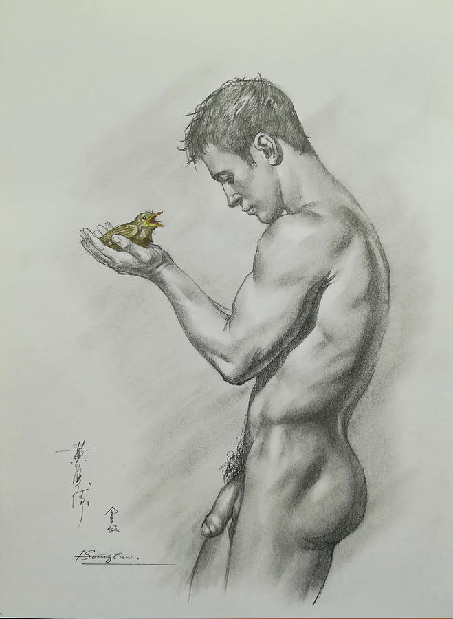 Drawing Of A Male Nude Sculpture Calisphere
