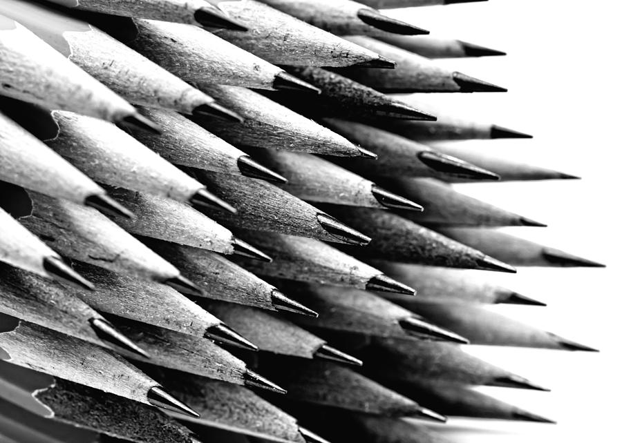 Pencil Points Photograph by Edward Myers