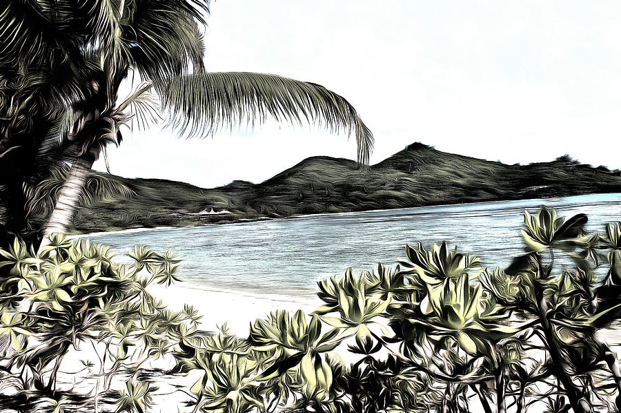Pencil sketch of a lovely tropical paradise Photograph by Ashish Agarwal