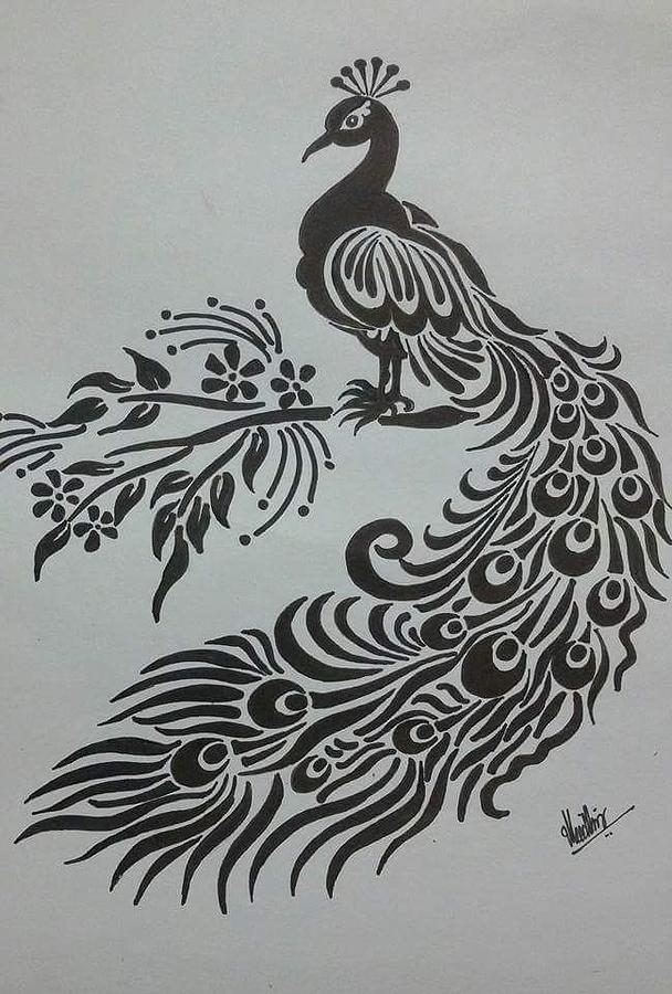 Pencil Sketch Of Peacock Drawing by Kanaga Rajesh