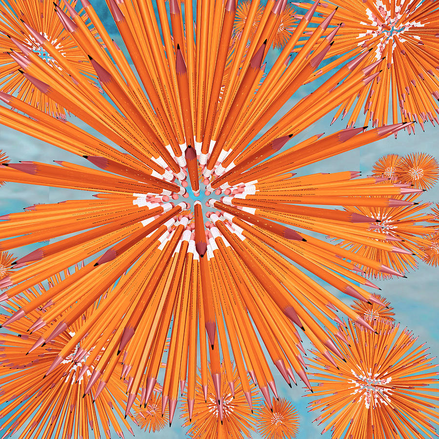 Pencil Urchins Photograph by Peter J Sucy