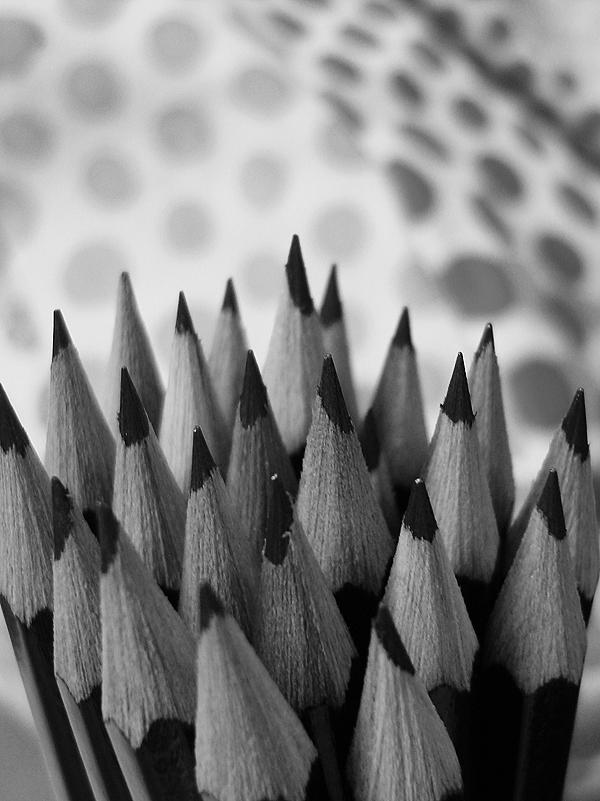 Pencils and Polka Dots Photograph by Pamela Dhuy - Fine Art America