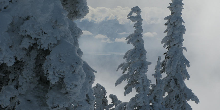 Pend Oreille thru Fog Photograph by Robert Bissett