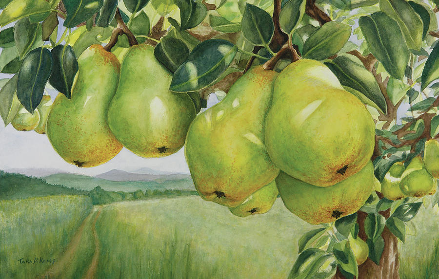 Pendulous Pears Painting by Tara D Kemp