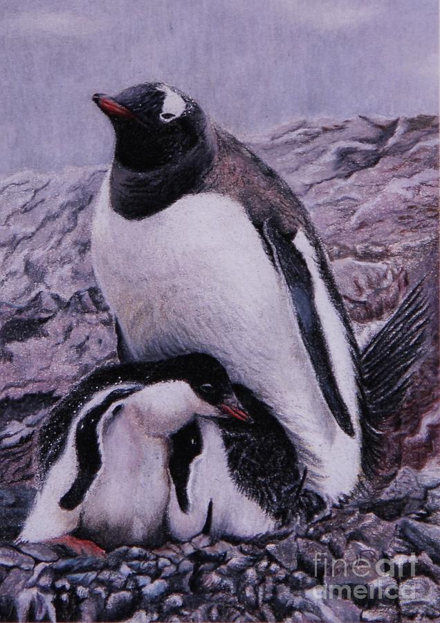 Penguin Family Drawing by Pamella Bernard Fine Art America