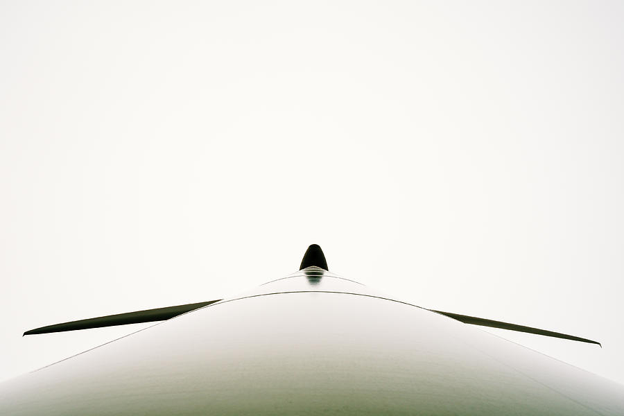 Architecture Photograph - Penguin by Markus Bartel