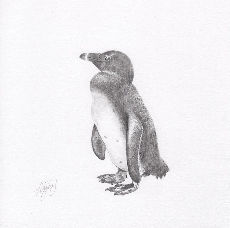 Push and Shove' Penguin Pencil Drawing Fine Art print