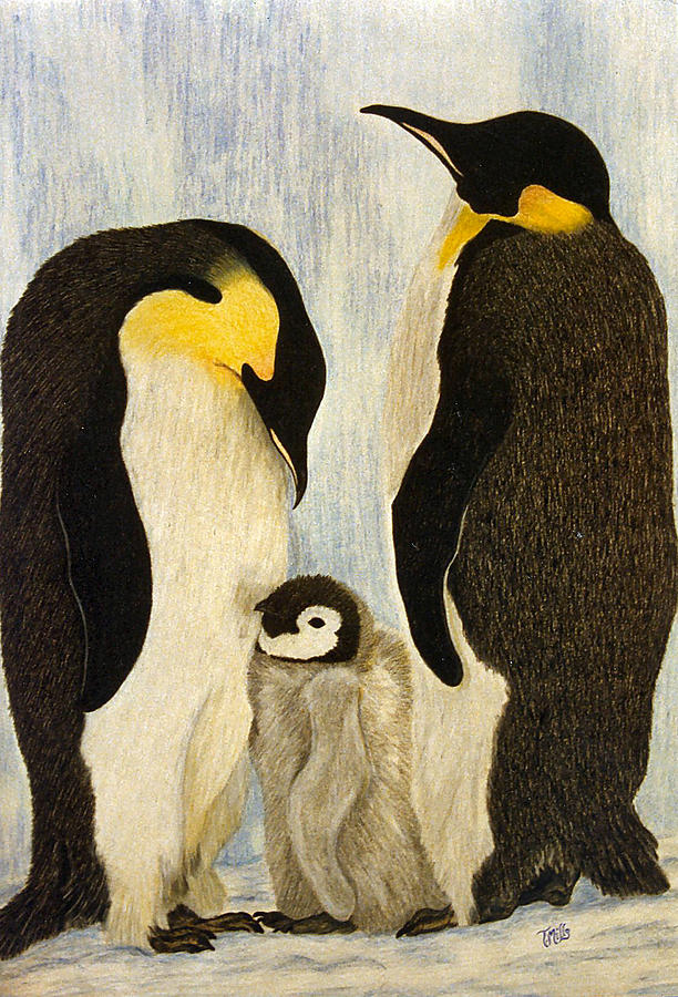 Penguin Parents Drawing by Terri Mills