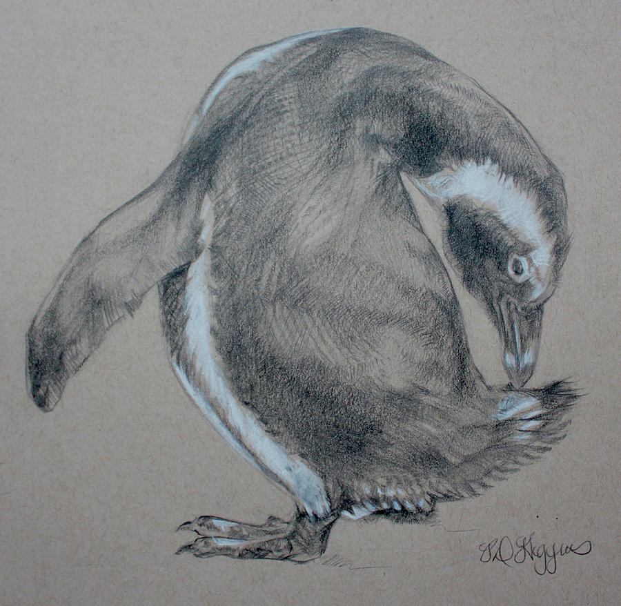 Little Blue Penguin Art Print | Tumbleweed Tees