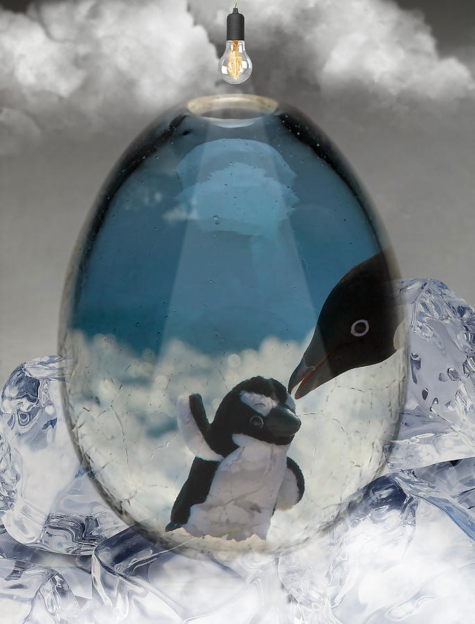 Penguins Art Mixed Media by Marvin Blaine
